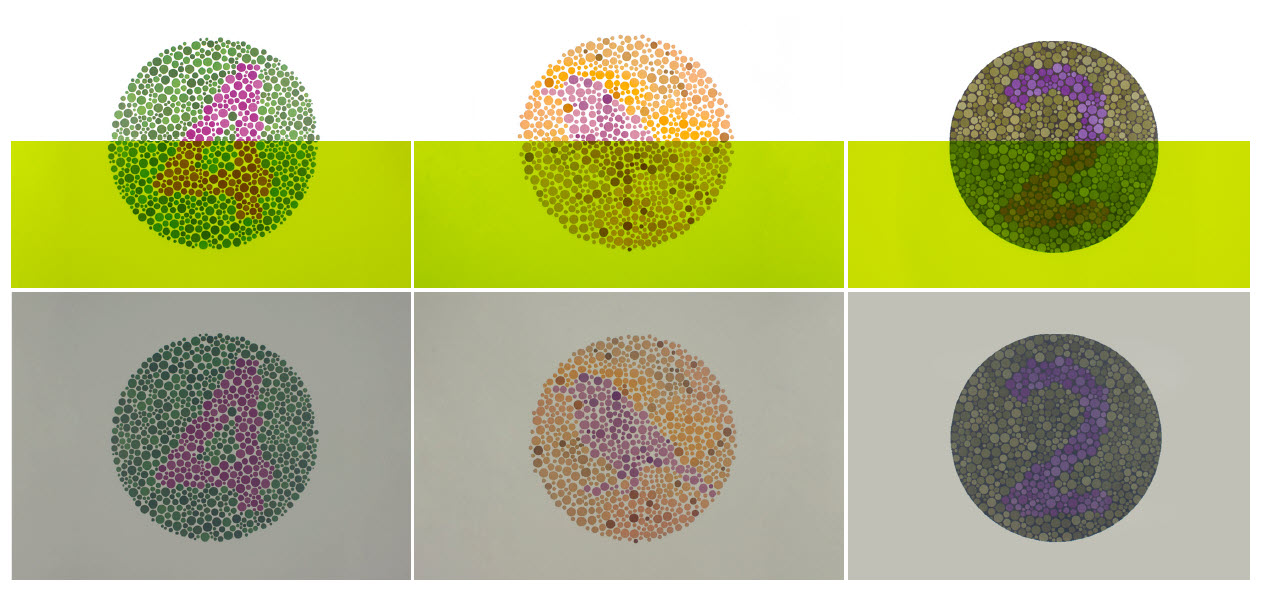 Honeywell Salisbury PrismShield™ Plus 